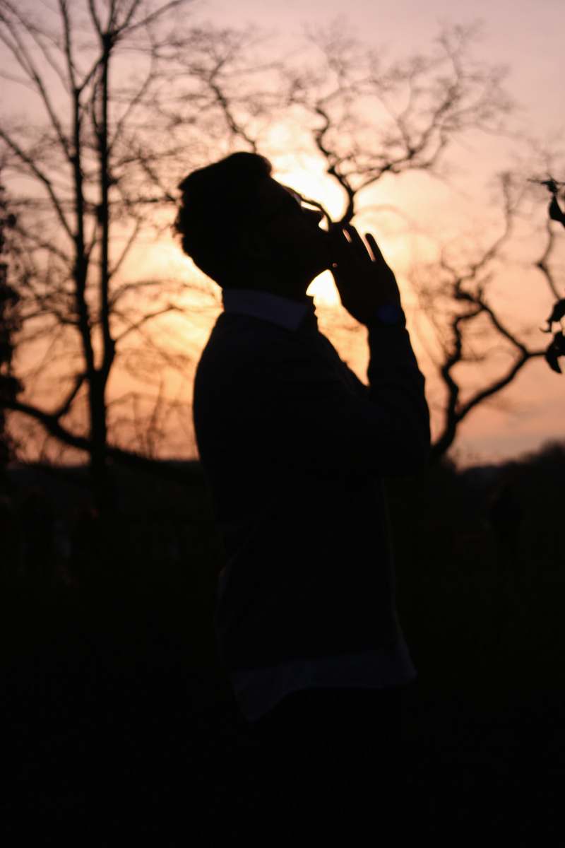 person silhouette of man beside tree human