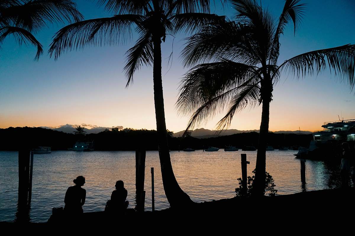 person silhouette of palm trees across body of water human