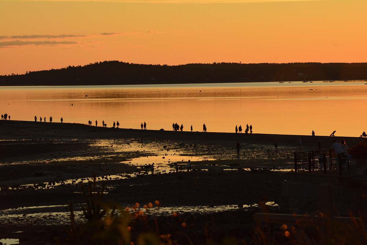 sunset silhouette of people on seashore dusk
