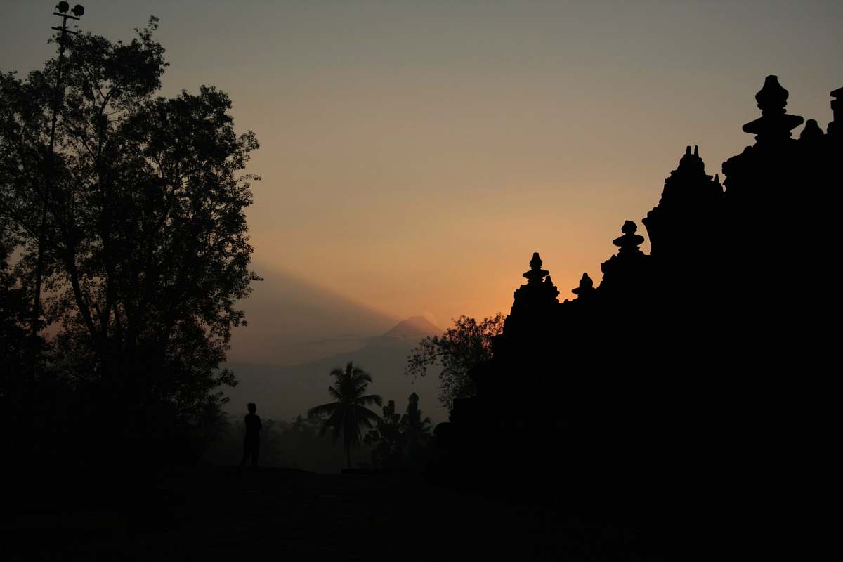 nature silhouette of person besides trees outdoors