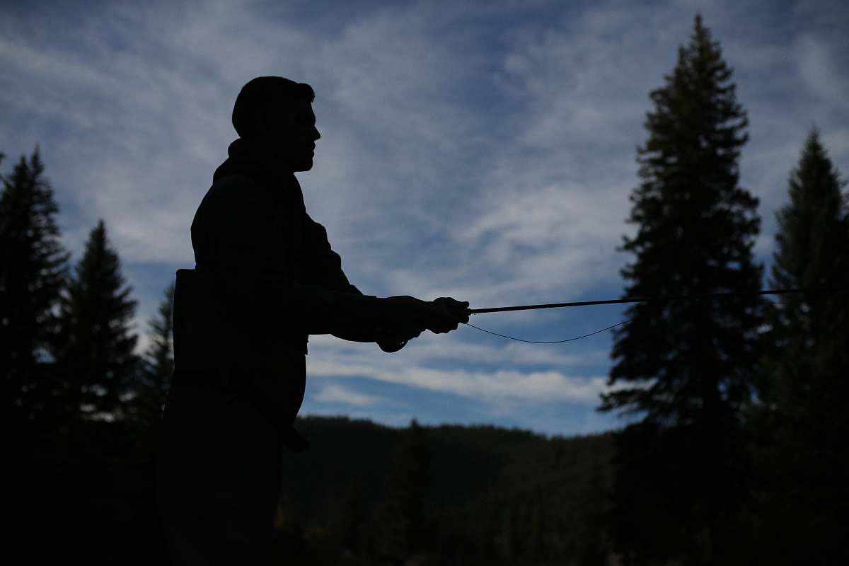 person silhouette of person fishing during nighttime tree