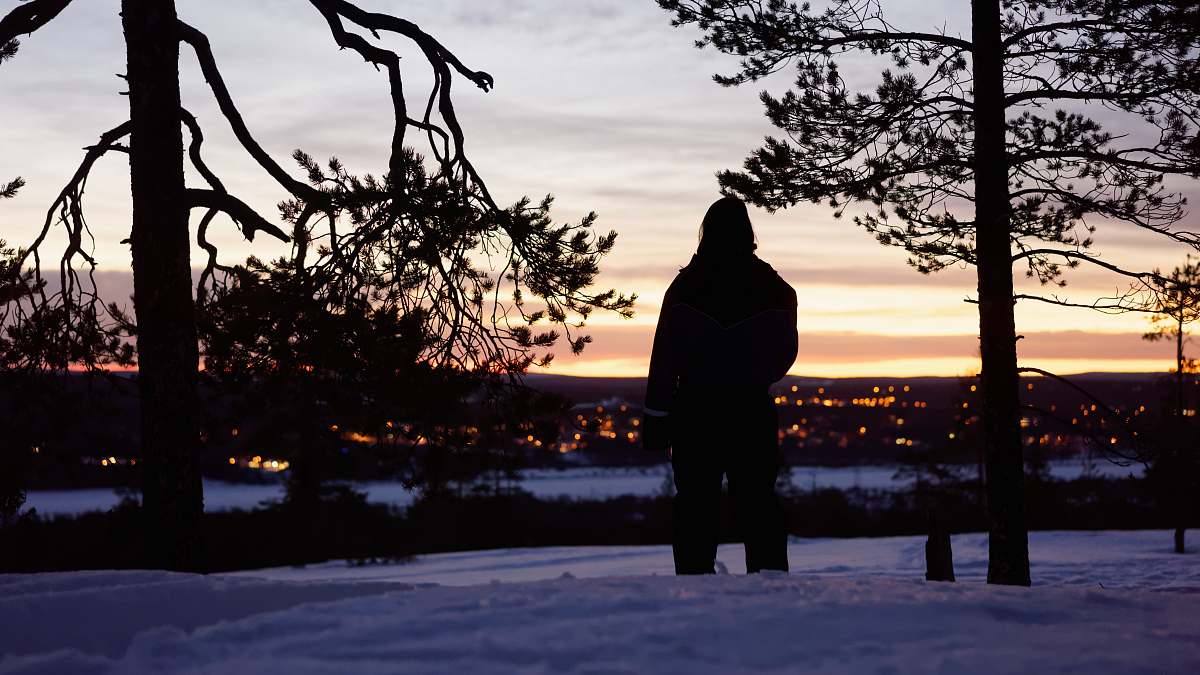 person silhouette of person in between two trees night