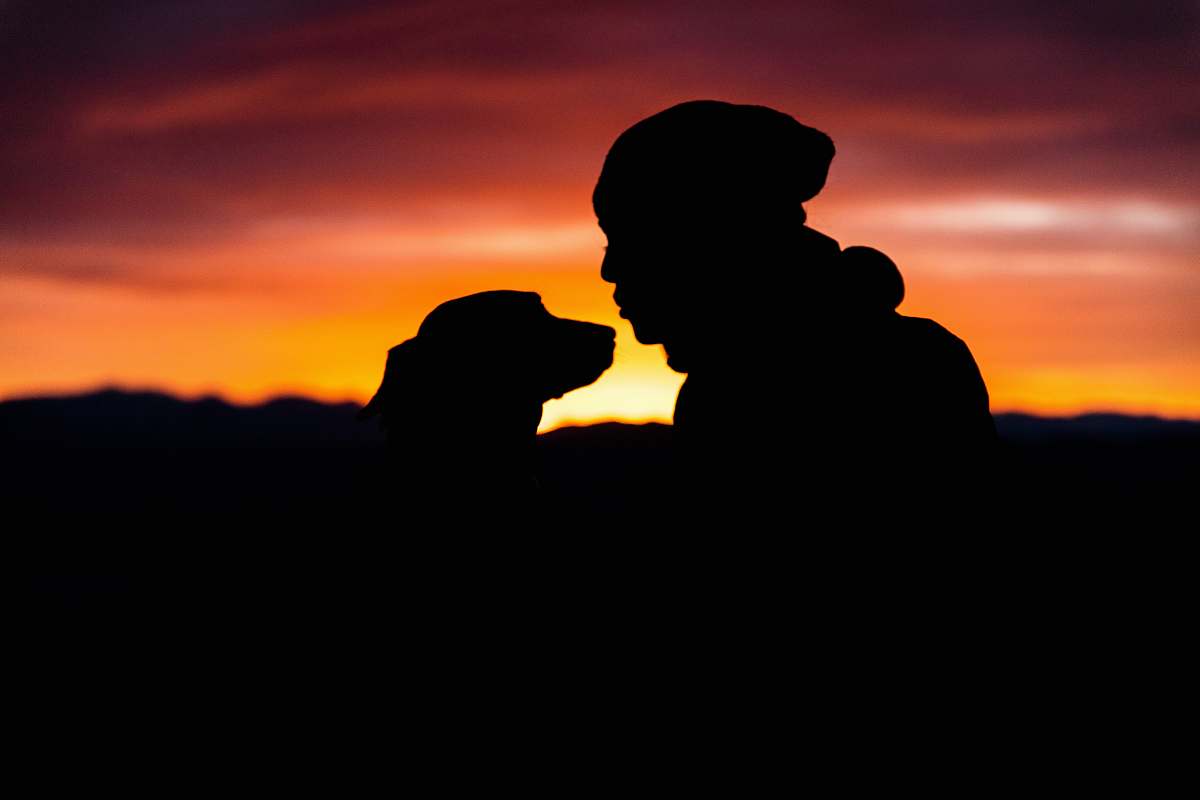 dog silhouette of person in front of dog during sunset swasey mountain