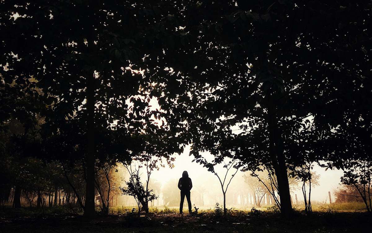 human silhouette of person standing surround by trees person