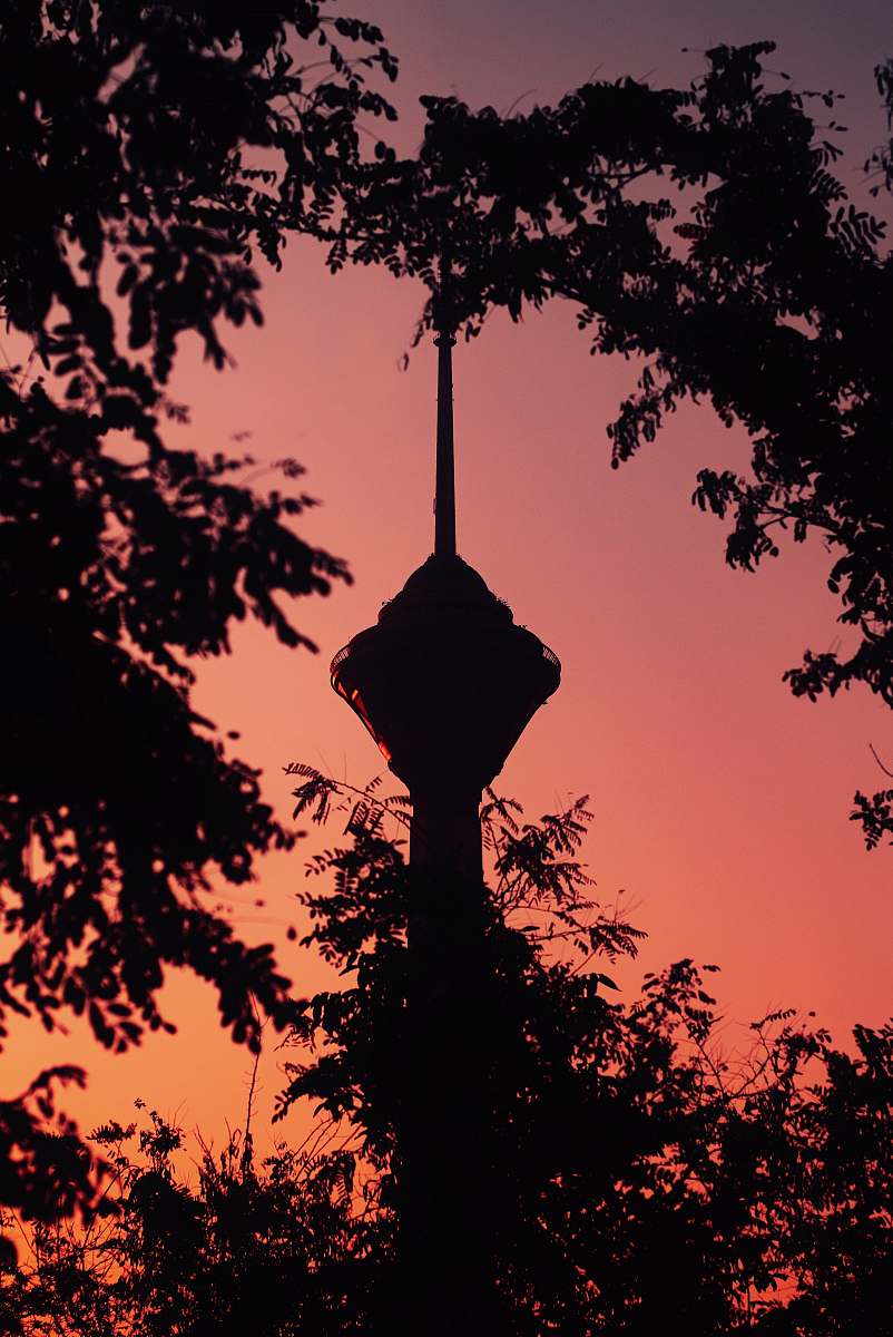 nature silhouette of tower and trees dusk