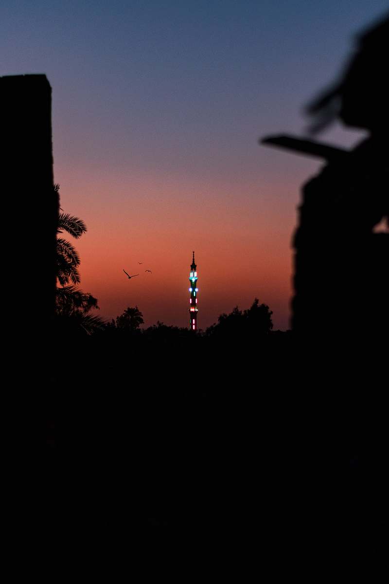 nature silhouette of trees and tower during nighttime outdoors