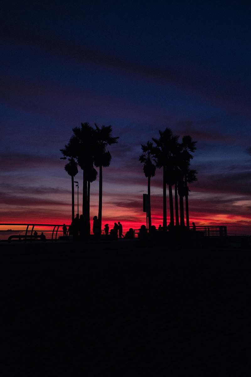 nature silhouette of trees under sky sunset