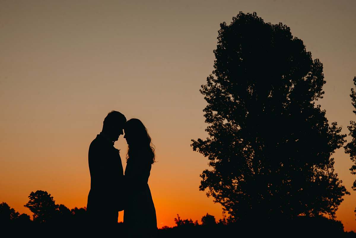 person Silhouette of two person near tree human