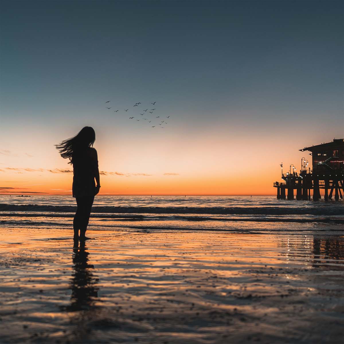 people silhouette of woman standing at the seashore with crashing waves during golden hour human