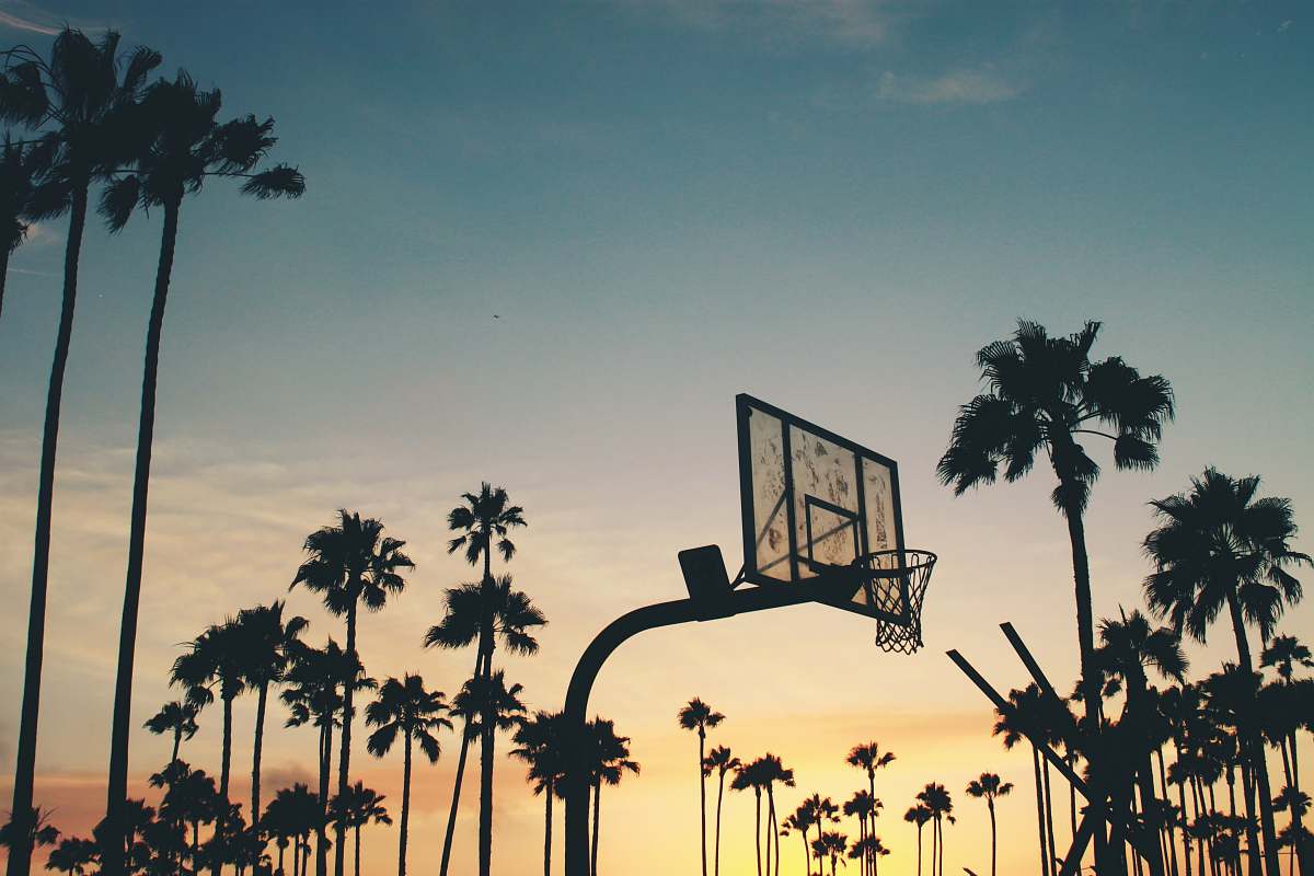 tree silhouette photo of basketball system palm tree