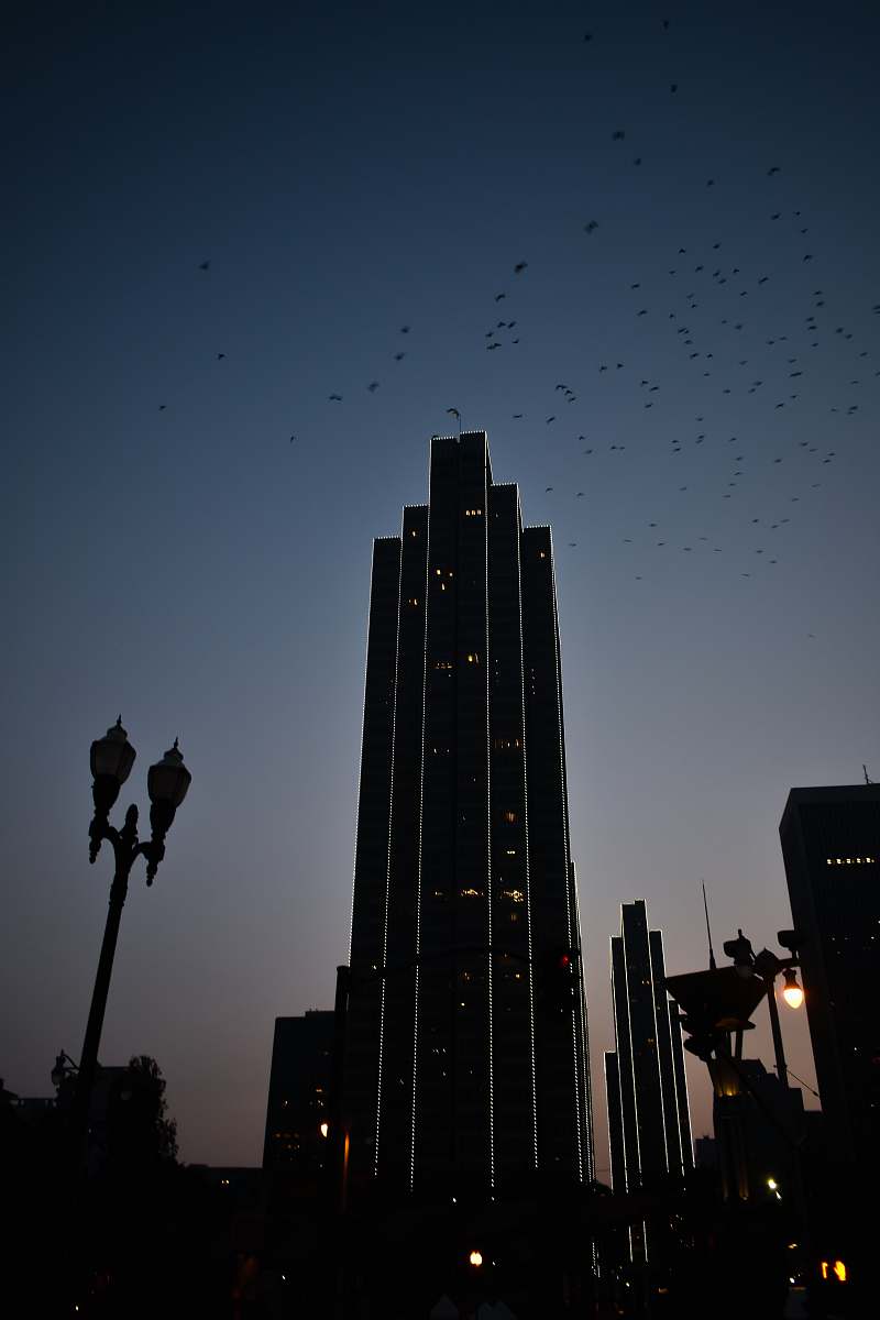 building silhouette photo of buildings at night grey