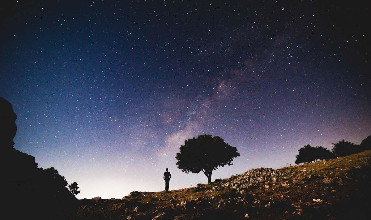 tree silhouette photo of person standing near trees under white stars person