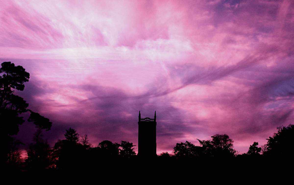 nature silhouette photo of trees and building under purple sky at daytime sunset