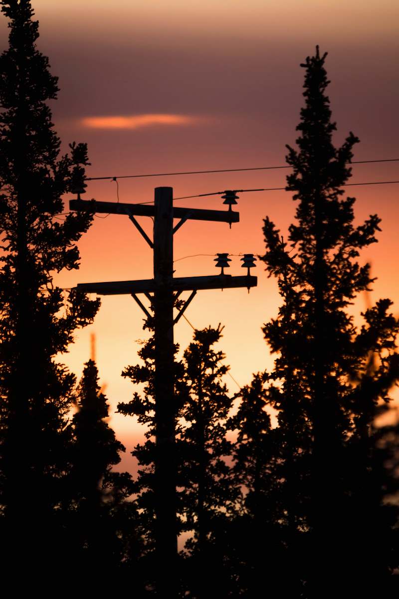 tree silhouette photograph of black utility post sky