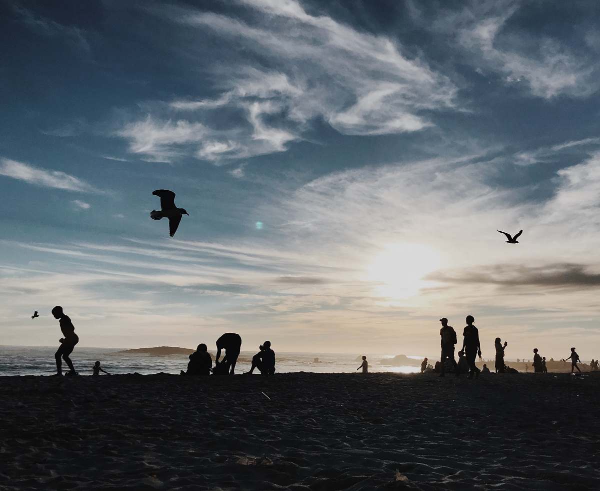 human silhouette photography group of person enjoying beach person