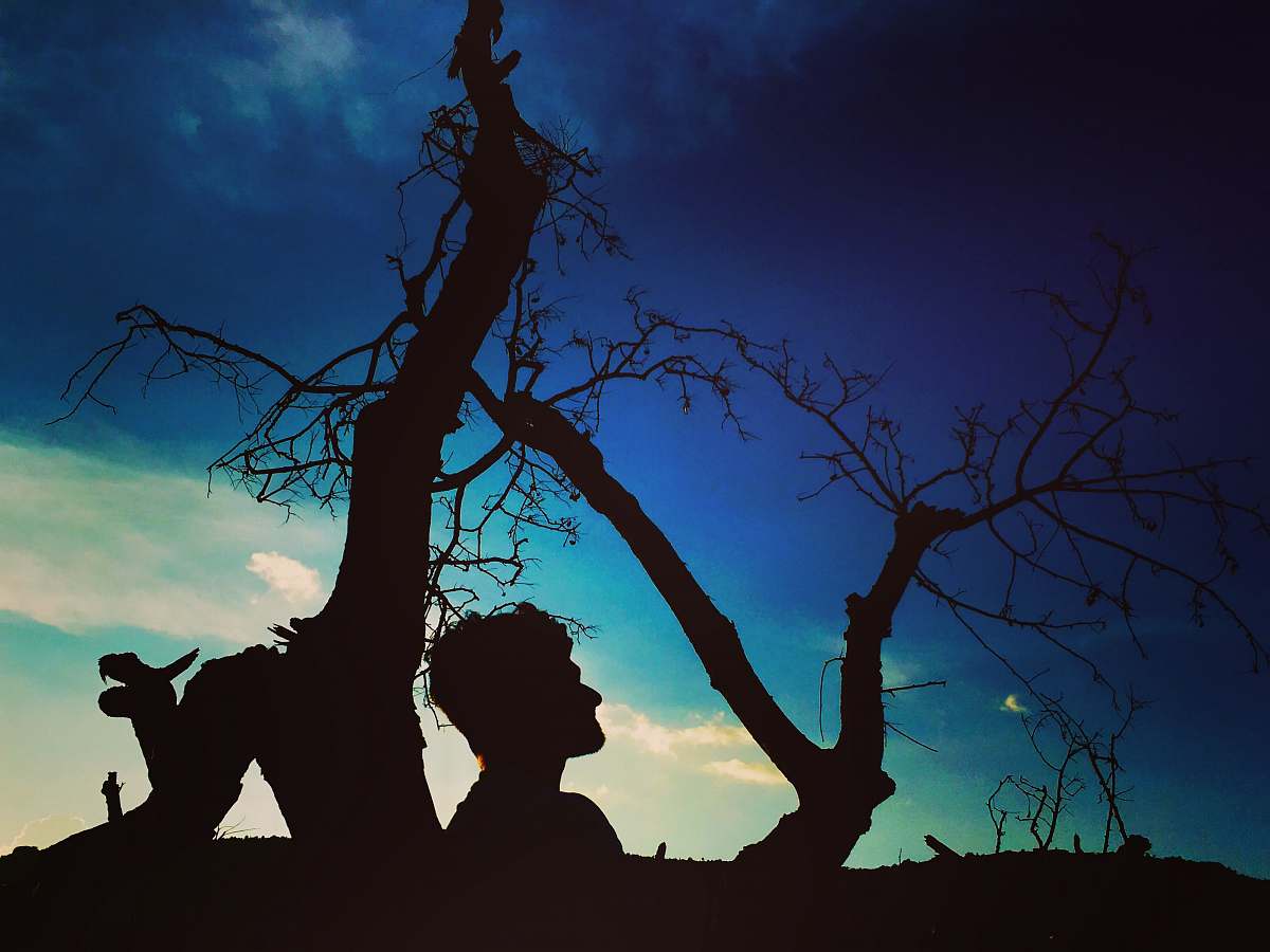 nature silhouette photography of man beside tree outdoors