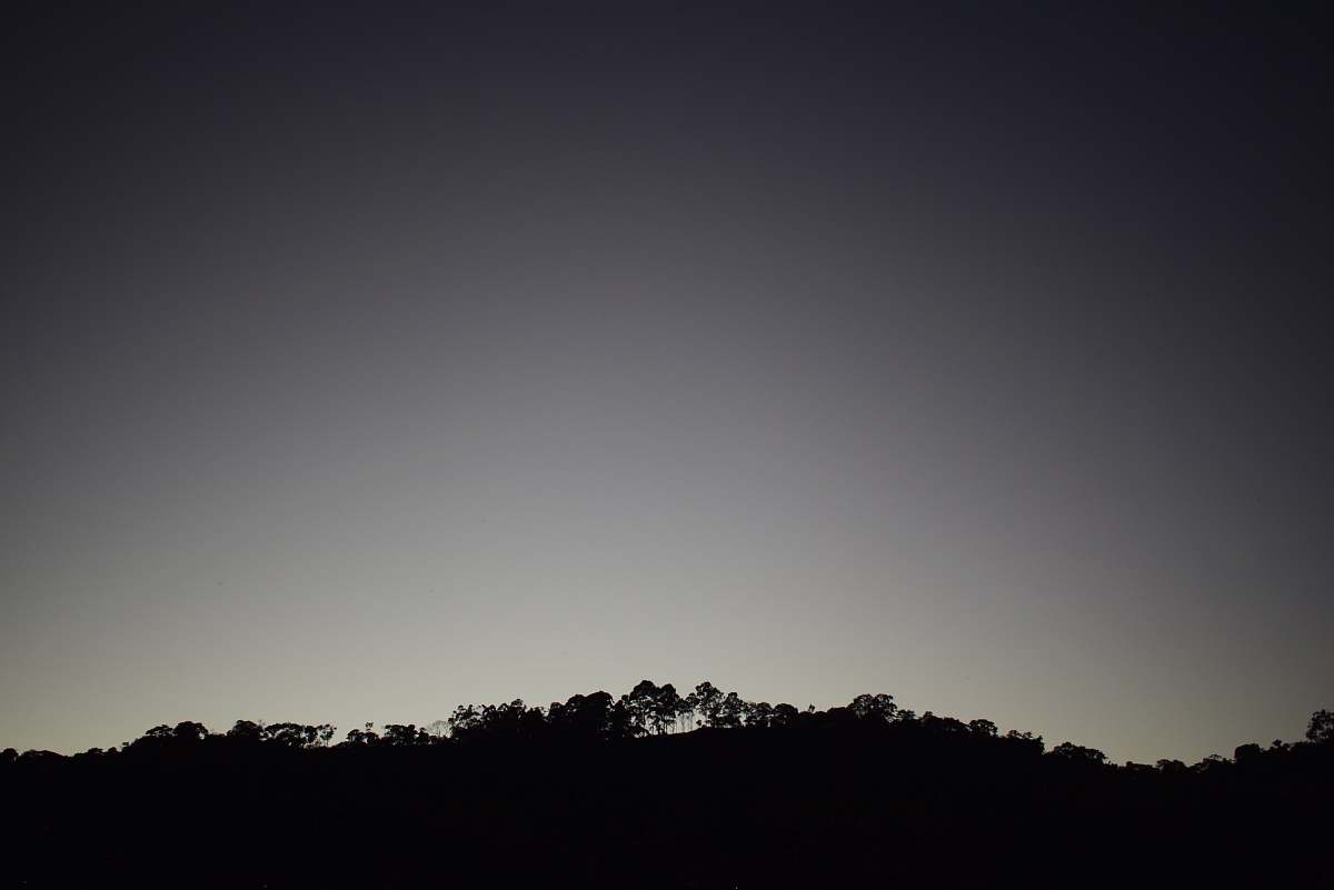grey silhouette photography of mountain forest