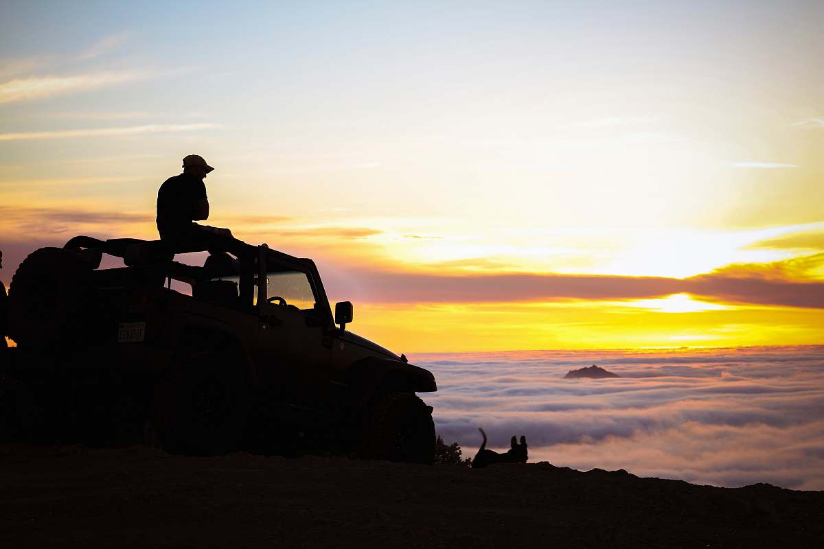 human silhouette photography of person sitting on truck person