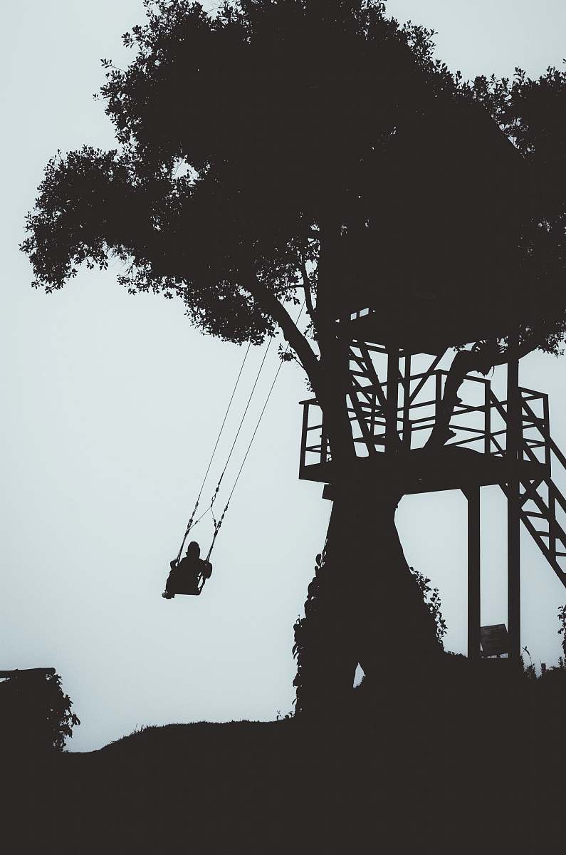 human silhouette photography of person swinging under the tree person