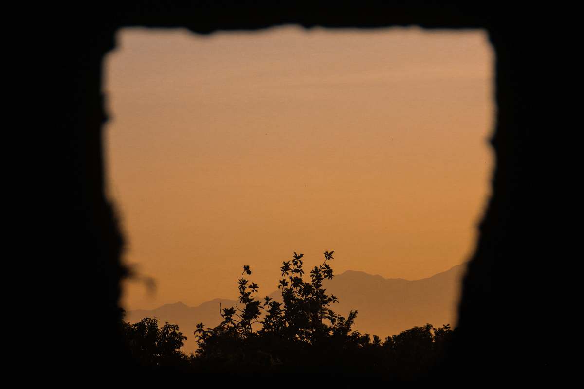 outdoors silhouette photography of tree nature