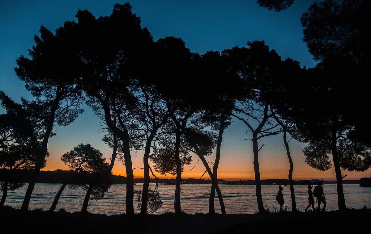 nature silhouette view of people walking along the beach beside trees outdoors