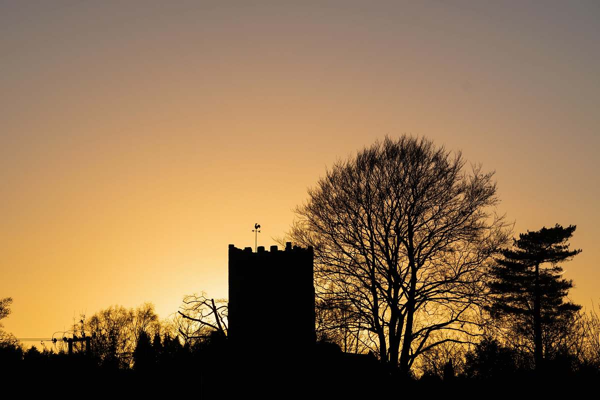 nature silhouetted of trees during sunset flare