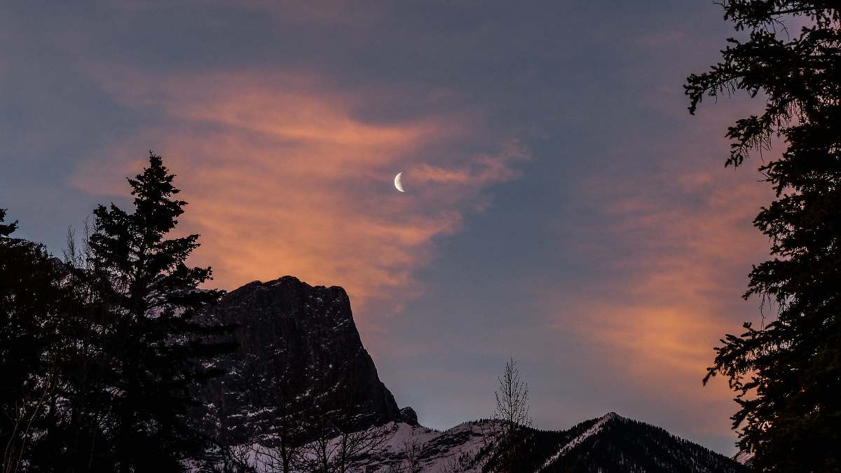 canmore trees and mountains at night canada