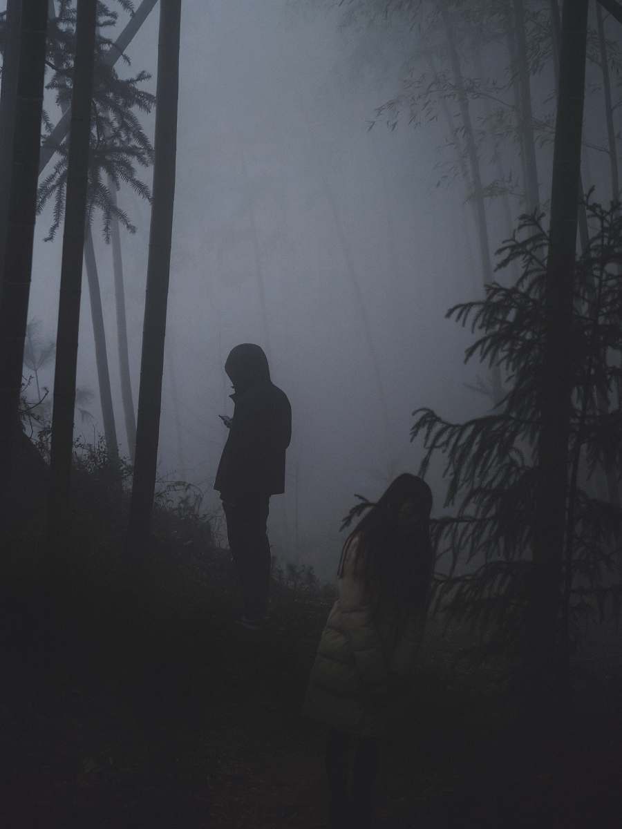 person two persons in forest with thick fog grey