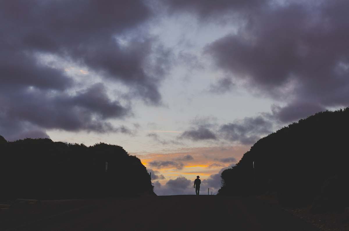 sunset person walking near trees nature
