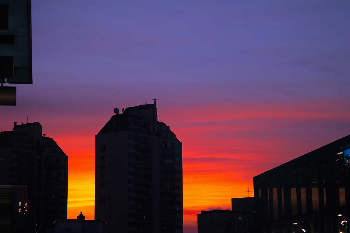 nature silhouette photo of building outdoors