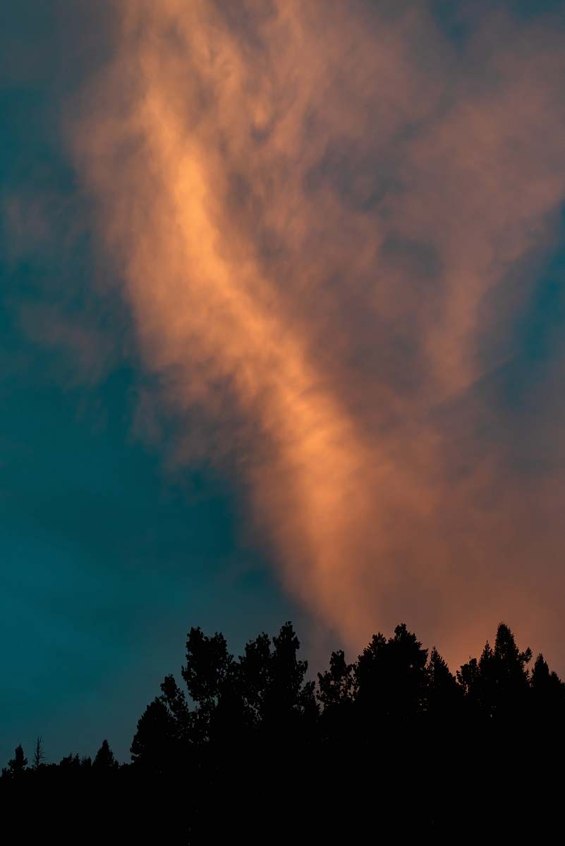 cloud tree silhouette under orange clouds weather