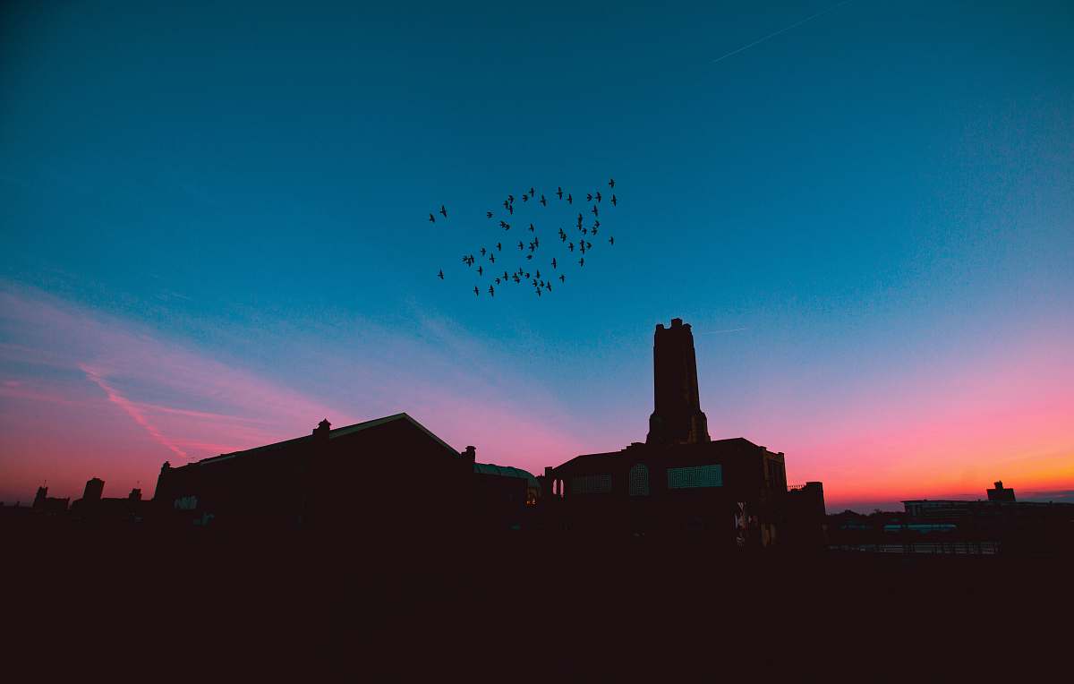 dusk silhouette of building under blue sky during golden hour sky