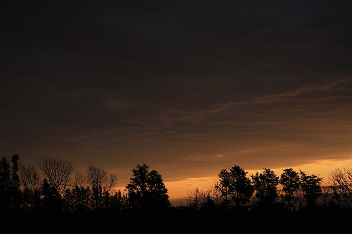 sky orange sky at sunset over silhouette of trees in field dusk