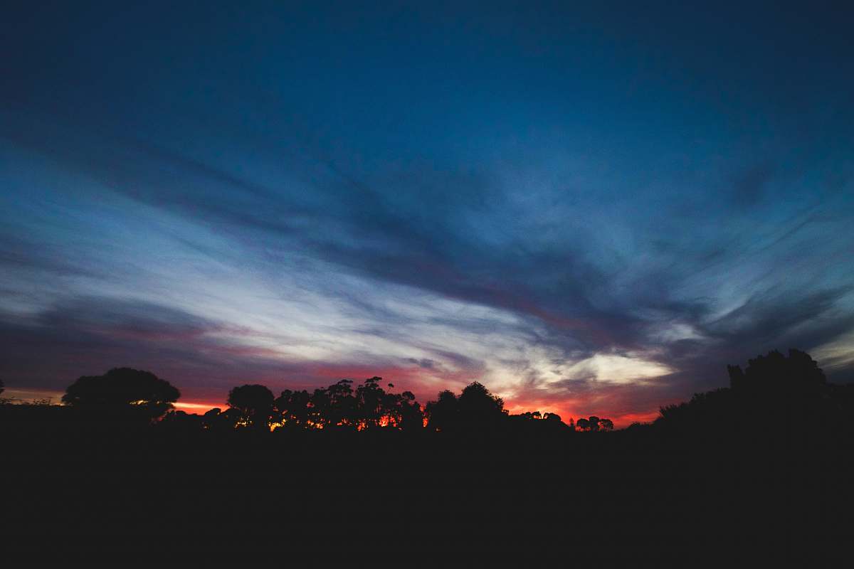 sky silhouette of trees during orange sunset sunrise
