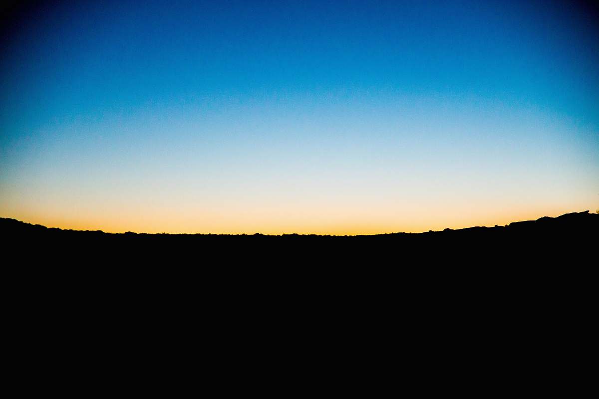 dusk silhouette photo of forests during golden hour dawn