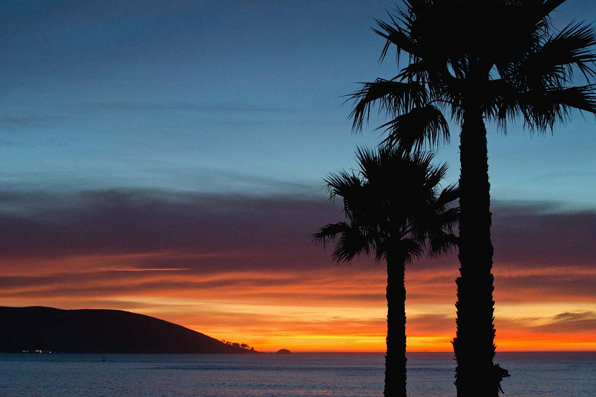 nature silhouette photo of trees beside sea sky