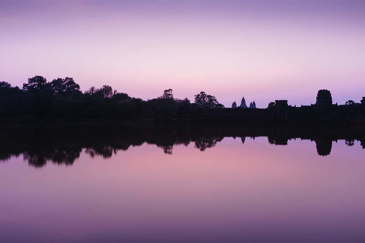 dusk trees reflecting in body of water silhouette