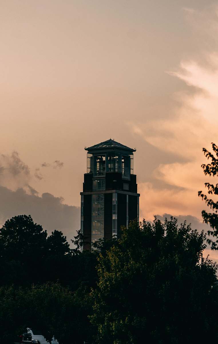 architecture black tower building surrounded with tall and green trees building