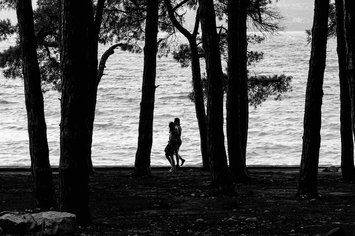 silhouette grayscale photo of two persons walking beside body of water surrounded with trees black-and-white