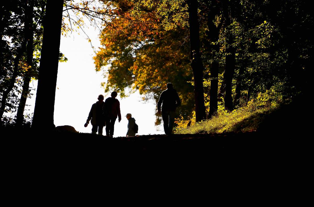 human man and woman standing near trees painting person