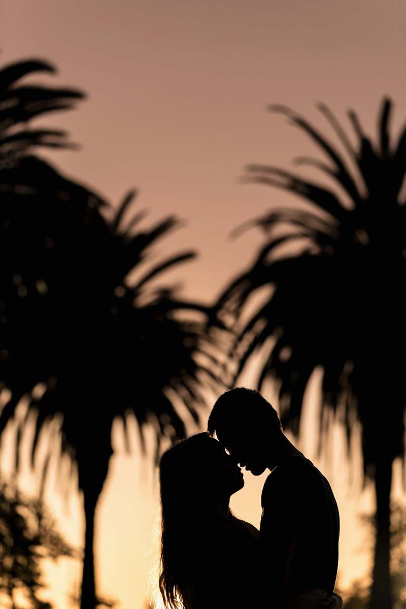 silhouette silhouette of man and woman kissing near trees human