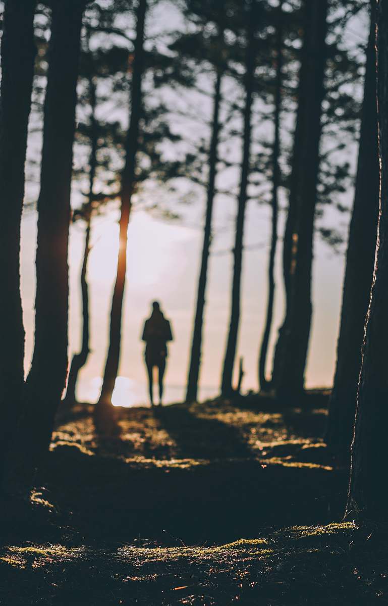 silhouette silhouette of person standing near body of water during daytime forest