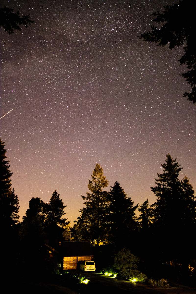 night silhouette of vehicle and trees under starry sky sky