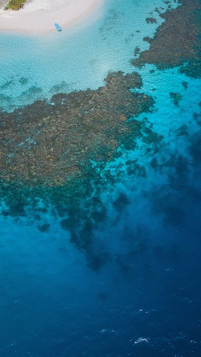 ocean  sea