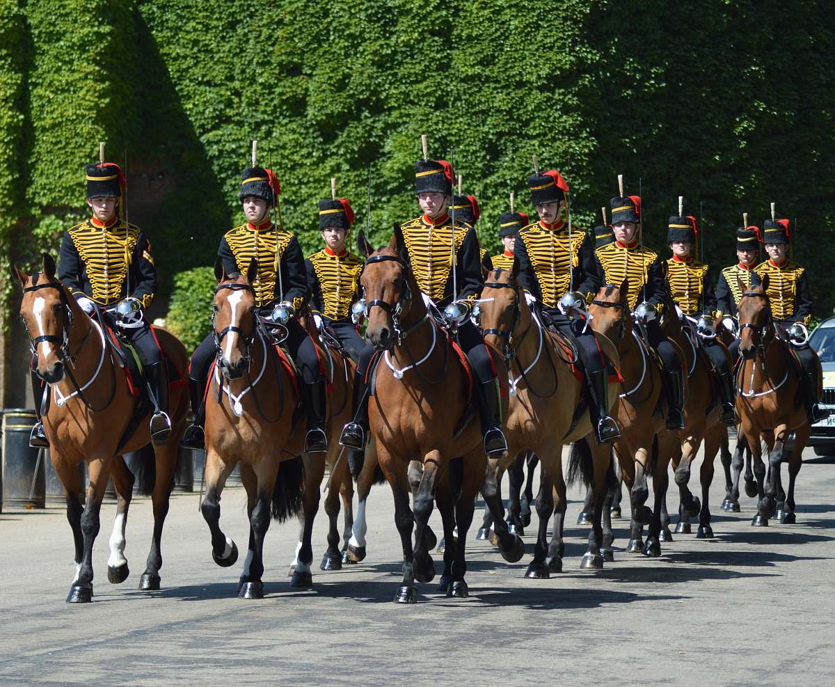 mammal group of people riding horses animal