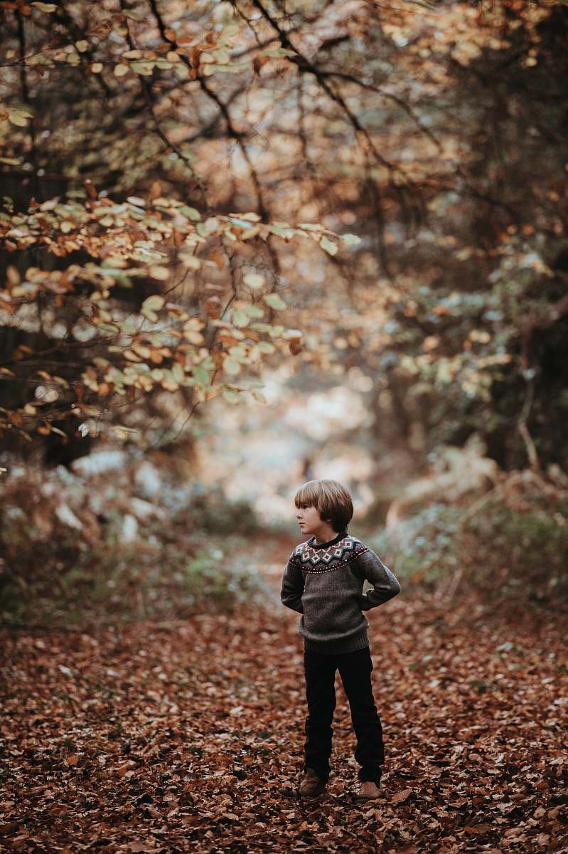 people boy standing on dried leaves in forest person