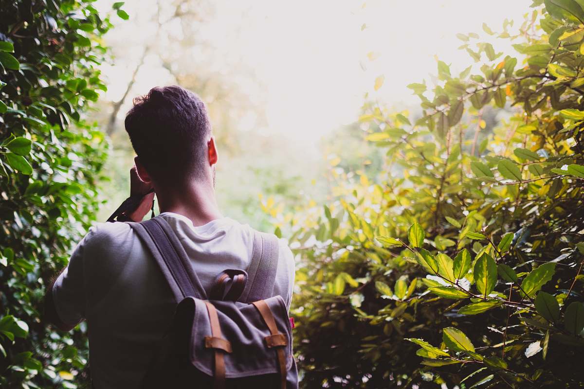 plant man carrying gray backpack between green leafed plant people