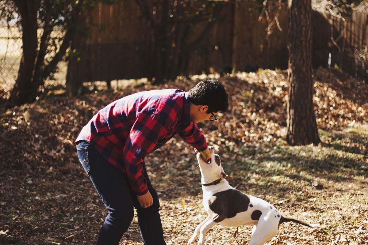 people man playing with dog person