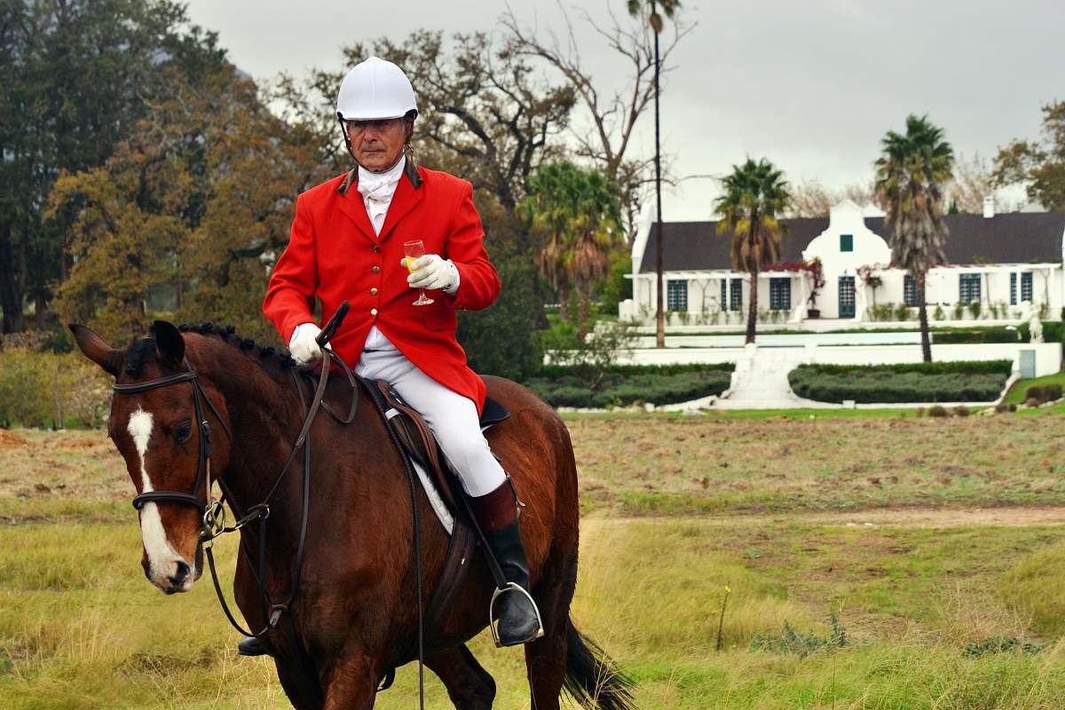 person man riding horse on farm during daytime horse