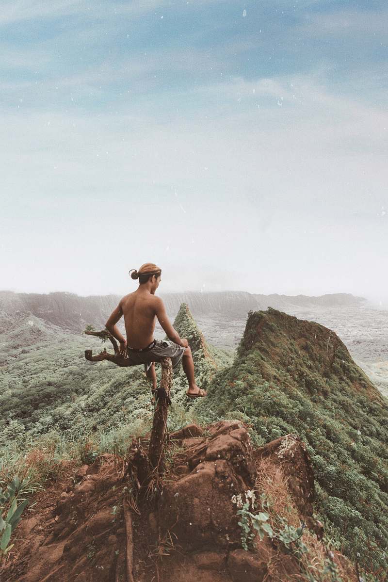 people man sitting on tree branch above mountain person